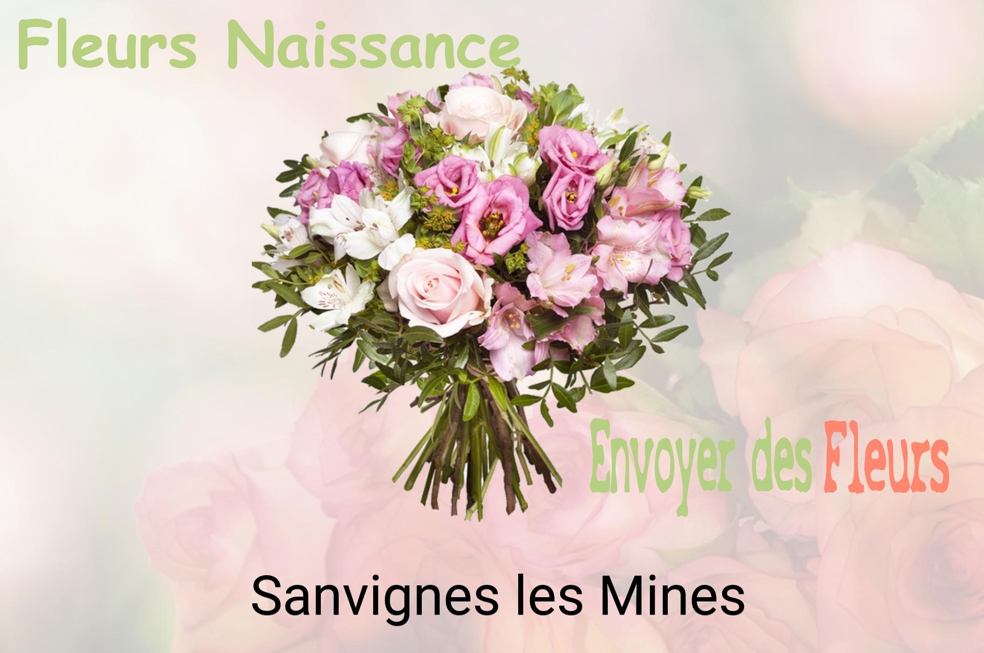 Bouquet de fleurs de naissance livré à Sanvignes-les-Mines